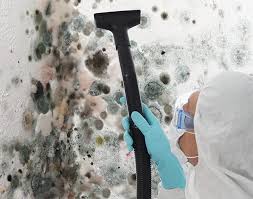 Professional Mold Prevention & Removal  in Dayton, OR